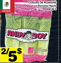 Supermarché PA COEURS ROMAINE ANDY BOY | Andy Boy Romaine Hearts offer