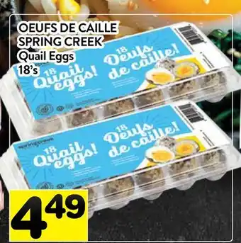 Supermarché PA OEUFS DE CAILLE SPRING CREEK | SPRING CREEK Quail Eggs offer