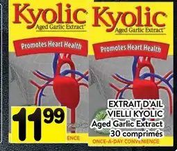 Supermarché PA EXTRAIT D'AIL VIELLI KYOLIC | Kyolic Aged Garlic Extract offer