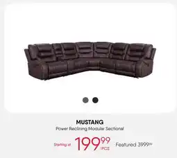 Meubles RD MUSTANG offer