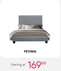 Meubles RD PETUNIA offer