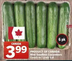 Co-op Atlantic Mini seedless cucumbers offer