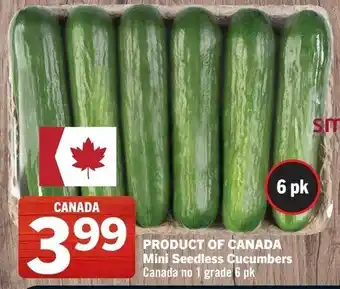 Co-op Atlantic Mini seedless cucumbers offer