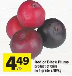 Co-op Atlantic Red or Black Plums offer