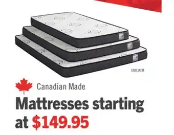 The Brick Springwall Emilia Tight Top Twin Mattress offer