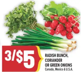 Marché Adonis RADISH BUNCH, CORIANDER OR GREEN ONIONS offer