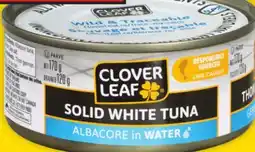 Giant Tiger Clover Leaf canned tuna offer