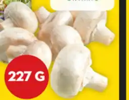 Giant Tiger Whole White Mushrooms offer