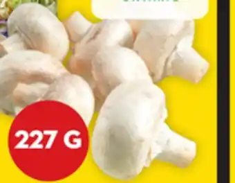 Giant Tiger Whole White Mushrooms offer