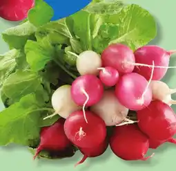 IGA MULTICOLOURED LEAF RADISHES offer