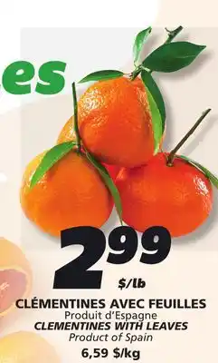 IGA CLEMENTINES WITH LEAVES offer