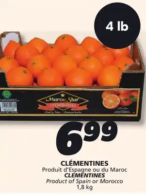 IGA CLEMENTINES offer