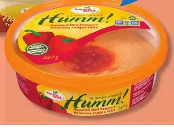 IGA FONTAINE SANTÉ HUMMUS offer