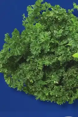 IGA CURLY OR ITALIAN PARSLEY offer