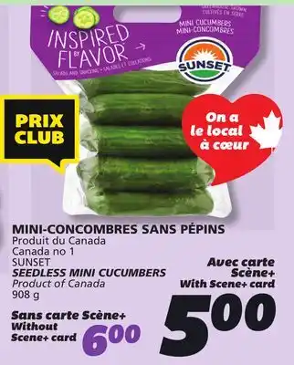 IGA SUNSET SEEDLESS MINI CUCUMBERS offer