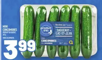 Metro MINI CONCOMBRES | MINI CUCUMBERS offer