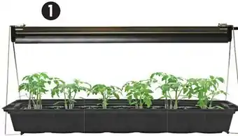 Canadian Tire Jiffy Hydro Grow Light System For Seedlings & Cuttings offer