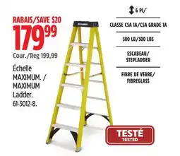 Canadian Tire MAXIMUM Ladder offer