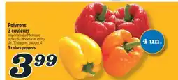 Marché Richelieu Poivrons 3 couleurs | 3 colors peppers offer