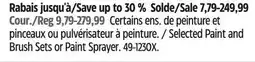 Canadian Tire Selected Paint and Brush Sets or Paint Sprayer offer