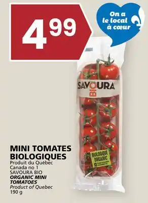 Rachelle-Bery Grocery SAVOURA BIO ORGANIC MINI TOMATOES offer