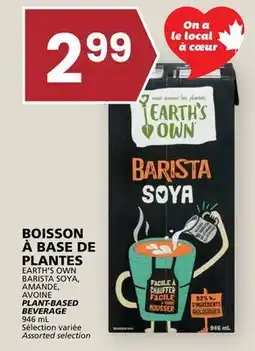 Rachelle-Bery Grocery EARTH'S OWN BARISTA SOYA, AMANDE, AVOINE PLANT-BASED BEVERAGE offer