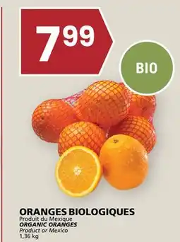 Rachelle-Bery Grocery ORGANIC ORANGES offer