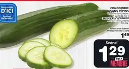 Marches Tradition SEEDLESS CUCUMBER SEEDLESS CUCUMBER offer