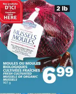 Marches Tradition FRESH CULTIVATED MUSSELS OR ORGANIC MUSSELS offer