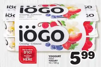 Marches Tradition IÖGO YOGURT offer