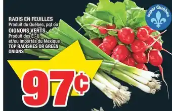 Super C RADIS EN FEUILLES OIGNONS VERTS | TOP RADISHES OR GREEN ONIONS offer