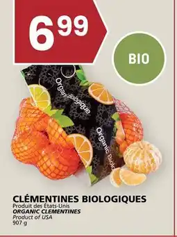 Rachelle-Bery Grocery ORGANIC CLEMENTINES offer