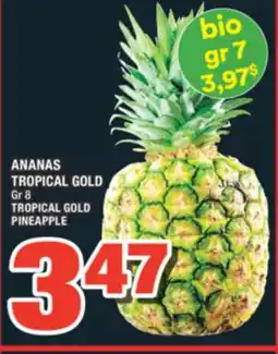 Super C ANANAS TROPICAL GOLD | TROPICAL GOLD PINEAPPLE offer