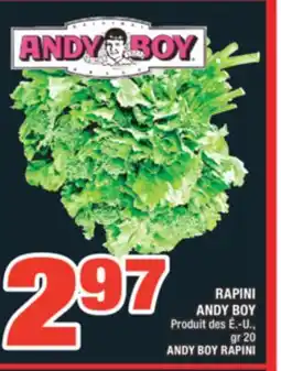 Super C RAPINI ANDY BOY | ANDY BOY RAPINI offer