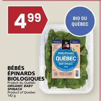 Rachelle-Bery Grocery ORGANIC BABY SPINACH offer