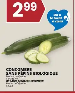 Rachelle-Bery Grocery ORGANIC SEEDLESS CUCUMBER offer