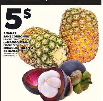 Provigo ANANAS SANS COURONNE OU MANGOUSTAN CROWNLESS PINEAPPLE OR MANGOSTEEN offer