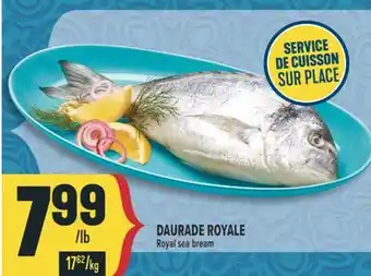 Marché Adonis DAURADE ROYALE | ROYAL SEA BREAM offer