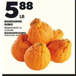 Provigo MANDARINE SUMO offer