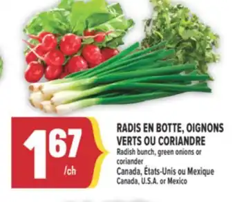 Marché Adonis RADIS EN BOTTE, OIGNONS VERTS OU CORIANDRE | Radish bunch, green onions or coriander offer