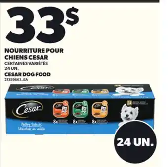 Provigo NOURRITURE POUR CHIENS CESAR 24 UN offer