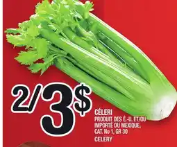 Marche Ami CÉLERI | CELERY offer