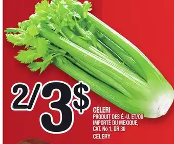 Marche Ami CÉLERI | CELERY offer