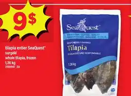 Maxi TILAPIA ENTIER SEAQUEST SURGELÉ, 1 KG offer