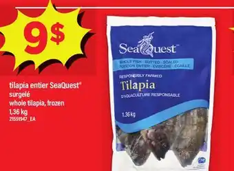 Maxi TILAPIA ENTIER SEAQUEST SURGELÉ, 1 KG offer