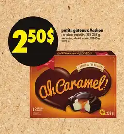 Maxi PETITS GÂTEAUX VACHON, 282-336 G │ SNACK CAKES offer