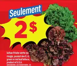 Maxi laitue frisée verte ou rouge, produit des É.-U. | green or red leaf lettuce product of U.S.A offer