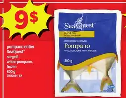 Maxi POMPANO ENTIER SEAQUEST SURGELÉ, 800 G offer