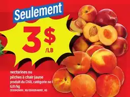 Maxi NECTARINES OU PÊCHES À CHAIR JAUNE offer