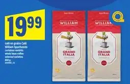 Maxi Café William Spartivento certaines variétés | whole bean coffee selected varieties 800 g offer